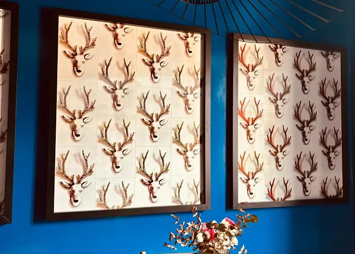 Maison Colonna Luxury Appartement